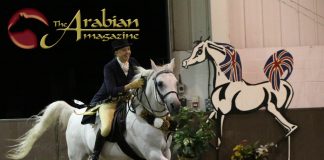 The UK International Arabian Horse Show