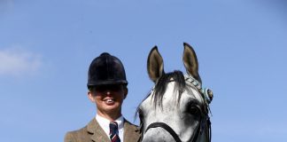 The UK International Arabian Horse Show: Ridden Classes